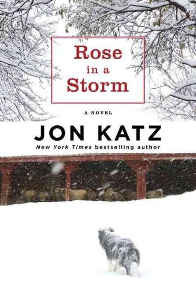 Rose in a storm : a novel / Jon Katz.