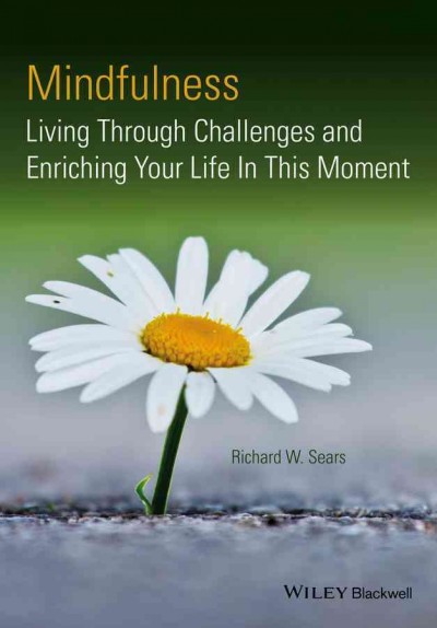 Mindfulness : living through challenges and enriching your life in this moment / Richard W. Sears.