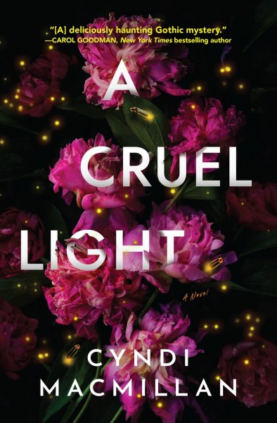 A Cruel Light : A Novel [electronic resource].