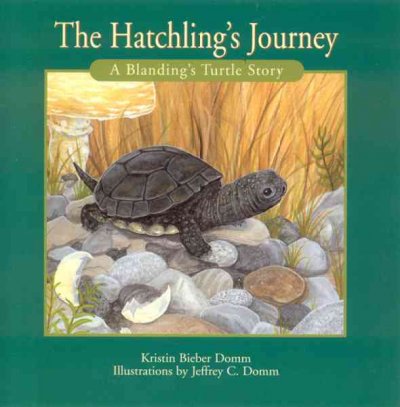 The hatchling's journey : a Blanding's turtle story / Kristin Bieber Domm ; illustrated by Jeffrey C. Domm.
