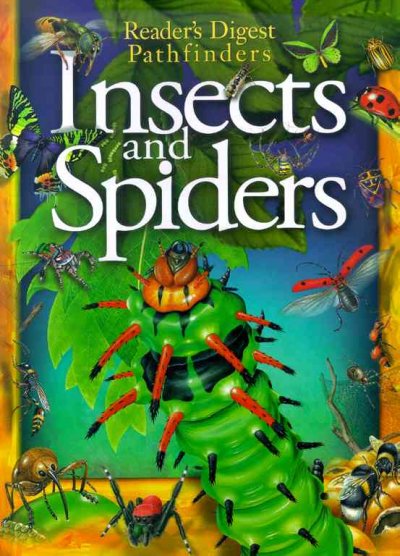 Insects and Spiders.