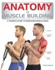 Go to record Anatomy of muscle building : a trainer's guide to increasi...