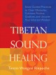 Go to record Tibetan sound healing : seven guided practices to clear ob...